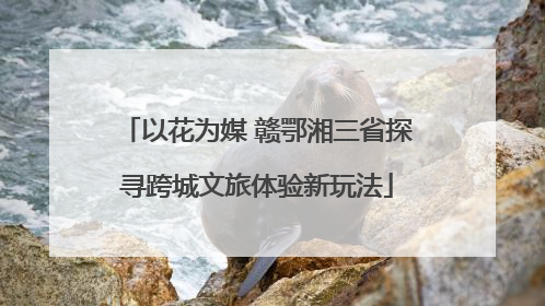 以花为媒 赣鄂湘三省探寻跨城文旅体验新玩法