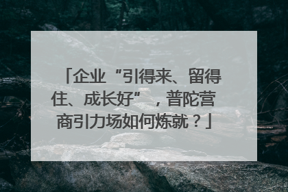 企业“引得来、留得住、成长好”，普陀营商引力场如何炼就？