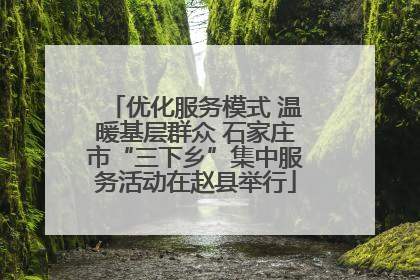 优化服务模式 温暖基层群众 石家庄市“三下乡”集中服务活动在赵县举行