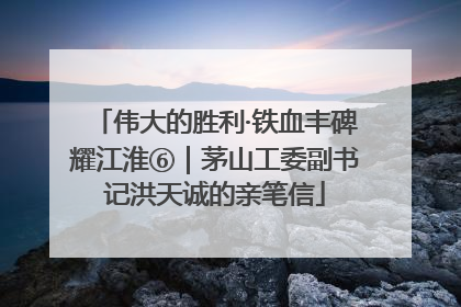 伟大的胜利·铁血丰碑耀江淮⑥｜茅山工委副书记洪天诚的亲笔信