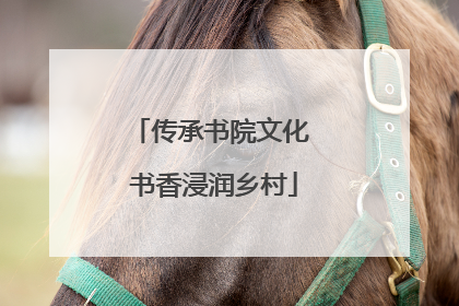 传承书院文化 书香浸润乡村