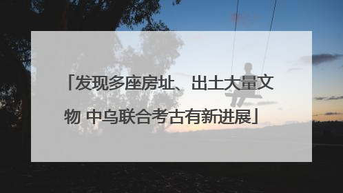 发现多座房址、出土大量文物 中乌联合考古有新进展