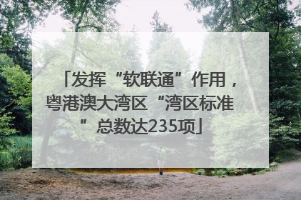 发挥“软联通”作用，粤港澳大湾区“湾区标准”总数达235项