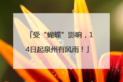 受“蝴蝶”影响，14日起泉州有风雨！