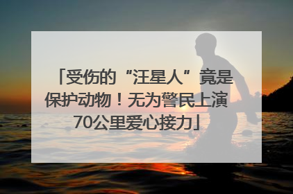 受伤的“汪星人”竟是保护动物！无为警民上演70公里爱心接力