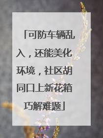 可防车辆乱入，还能美化环境，社区胡同口上新花箱巧解难题