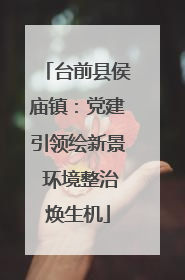 台前县侯庙镇：党建引领绘新景 环境整治焕生机