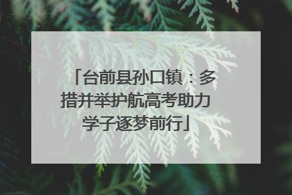 台前县孙口镇：多措并举护航高考助力学子逐梦前行