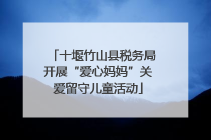 十堰竹山县税务局开展“爱心妈妈”关爱留守儿童活动