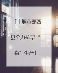 十堰市郧西县全力抗旱“稳”生产