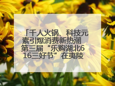千人火锅、科技元素引爆消费新热潮 第三届“乐购湖北616三好节”在夷陵区盛大启幕