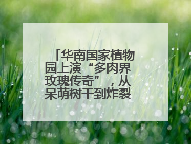 华南国家植物园上演“多肉界玫瑰传奇”，从呆萌树干到炸裂种子全是戏！