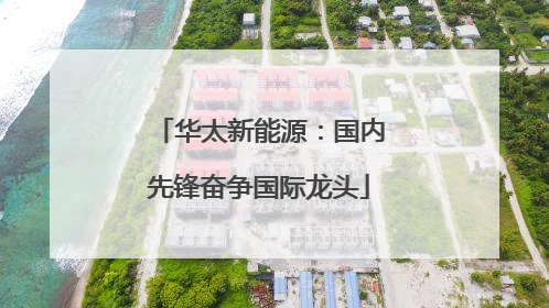 华太新能源：国内先锋奋争国际龙头