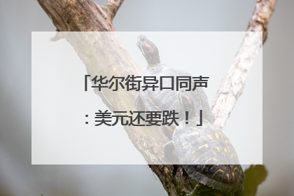 华尔街异口同声：美元还要跌！