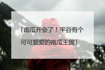南瓜开会了！平谷有个可可爱爱的南瓜王国