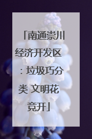 南通崇川经济开发区：垃圾巧分类 文明花竞开