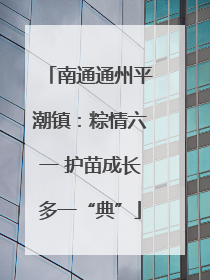 南通通州平潮镇：粽情六一 护苗成长多一“典”