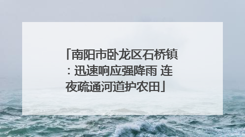 南阳市卧龙区石桥镇：迅速响应强降雨 连夜疏通河道护农田