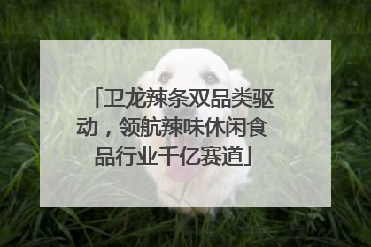 卫龙辣条双品类驱动，领航辣味休闲食品行业千亿赛道