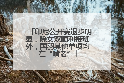 印尼公开赛退步明显，除女双顺利接班外，国羽其他单项均在“啃老”