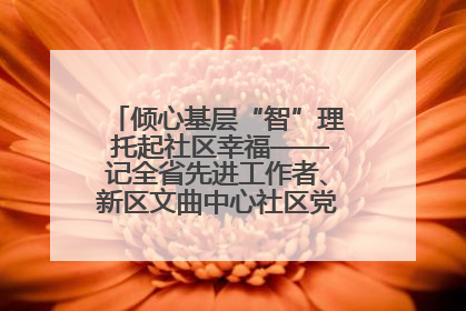 倾心基层“智”理 托起社区幸福——记全省先进工作者、新区文曲中心社区党委书记董世弘