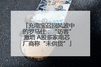 充电宝召回风波中的罗马仕：“访客”激增 A股多家电芯厂商称“未供货”