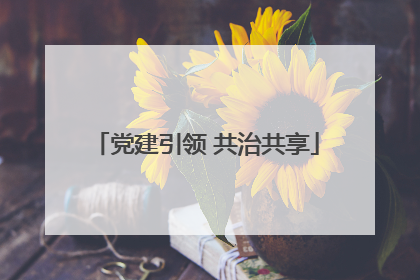 党建引领 共治共享