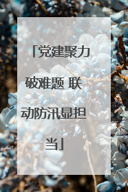 党建聚力破难题 联动防汛显担当