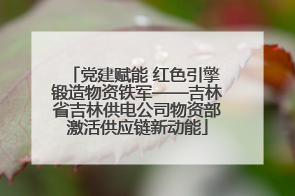 党建赋能 红色引擎锻造物资铁军——吉林省吉林供电公司物资部激活供应链新动能
