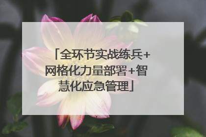 全环节实战练兵+网格化力量部署+智慧化应急管理