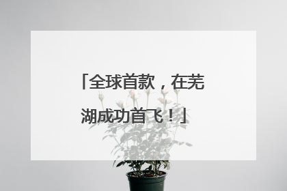全球首款，在芜湖成功首飞！