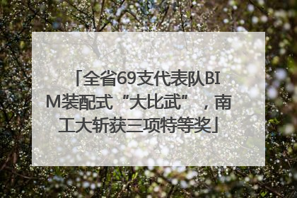 全省69支代表队BIM装配式“大比武”，南工大斩获三项特等奖