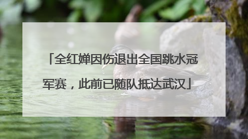 全红婵因伤退出全国跳水冠军赛，此前已随队抵达武汉