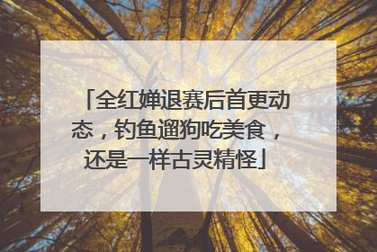 全红婵退赛后首更动态，钓鱼遛狗吃美食，还是一样古灵精怪