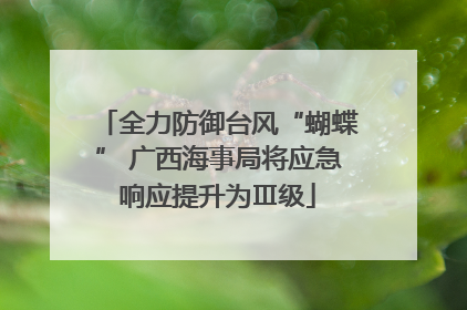 全力防御台风“蝴蝶” 广西海事局将应急响应提升为Ⅲ级