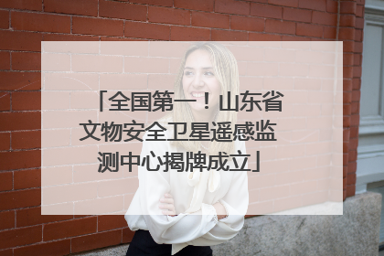全国第一！山东省文物安全卫星遥感监测中心揭牌成立