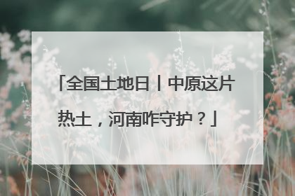 全国土地日丨中原这片热土，河南咋守护？