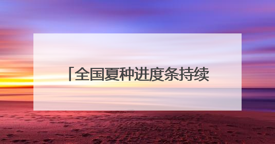 全国夏种进度条持续刷新：多地抢抓农时 筑牢粮食丰收基础