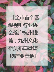 全市首个区级视听行业协会落户杭州钱塘，九州文化牵头布局微短剧产业高地