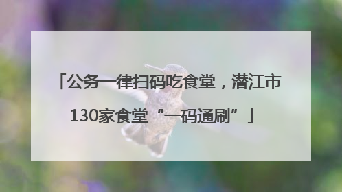 公务一律扫码吃食堂，潜江市130家食堂“一码通刷”