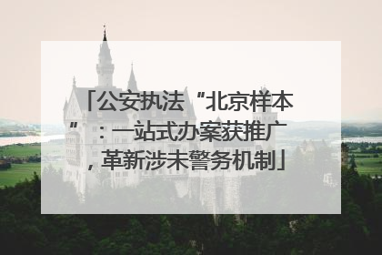 公安执法“北京样本”：一站式办案获推广，革新涉未警务机制