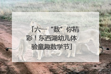 六一“数”你精彩！东西湖幼儿体验童趣数学节