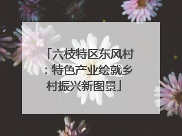 六枝特区东风村：特色产业绘就乡村振兴新图景