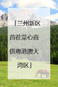 兰州新区首茬菜心直供粤港澳大湾区
