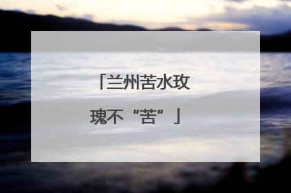 兰州苦水玫瑰不“苦”