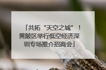 共拓“天空之城”！黄陂区举行低空经济深圳专场推介招商会