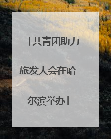 共青团助力旅发大会在哈尔滨举办