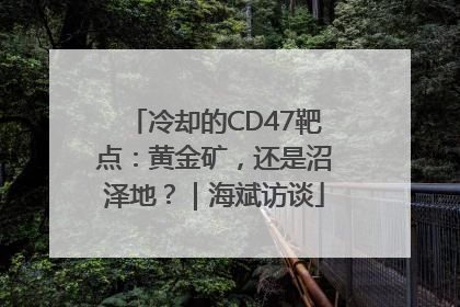 冷却的CD47靶点：黄金矿，还是沼泽地？｜海斌访谈