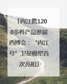 内江携1200多件产品参展西博会：“内江号”卫星模型首次亮相