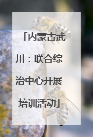 内蒙古武川：联合综治中心开展培训活动